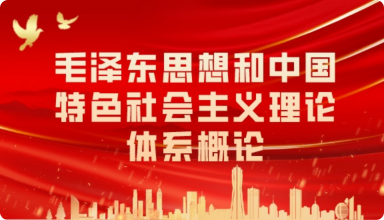 思政理论课